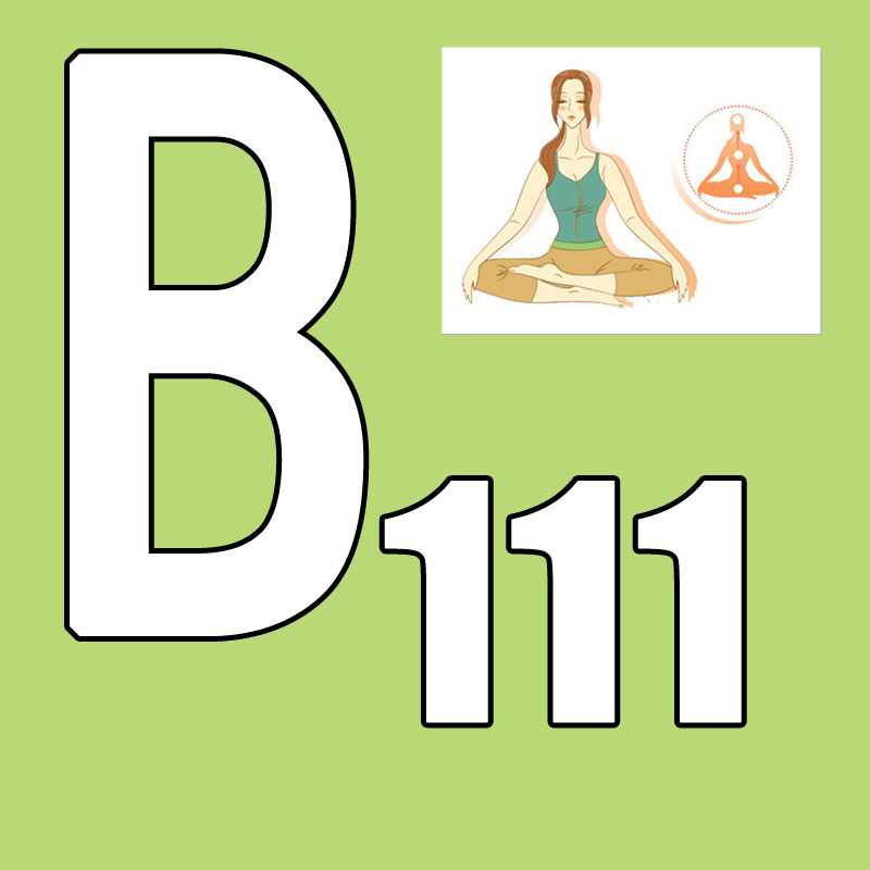 Yoga Fitness Group - Hete Aanbieding Nieuwste Release 2026.Q1 Nieuwe